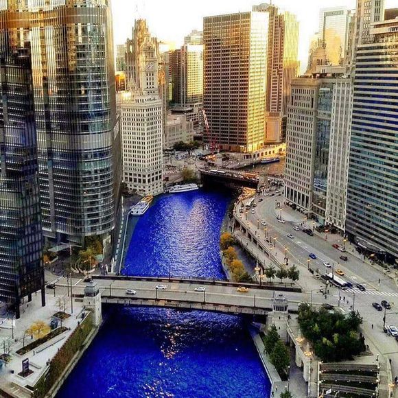 Meet your Posher, Chris - Picture 1 of 1